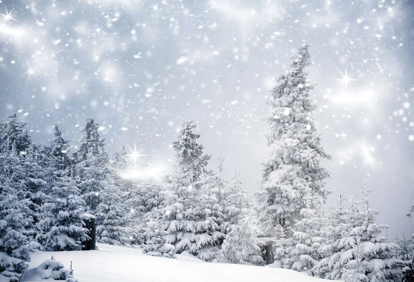 Kate Winter Snow Forest Backdrops For Photography - Image 2