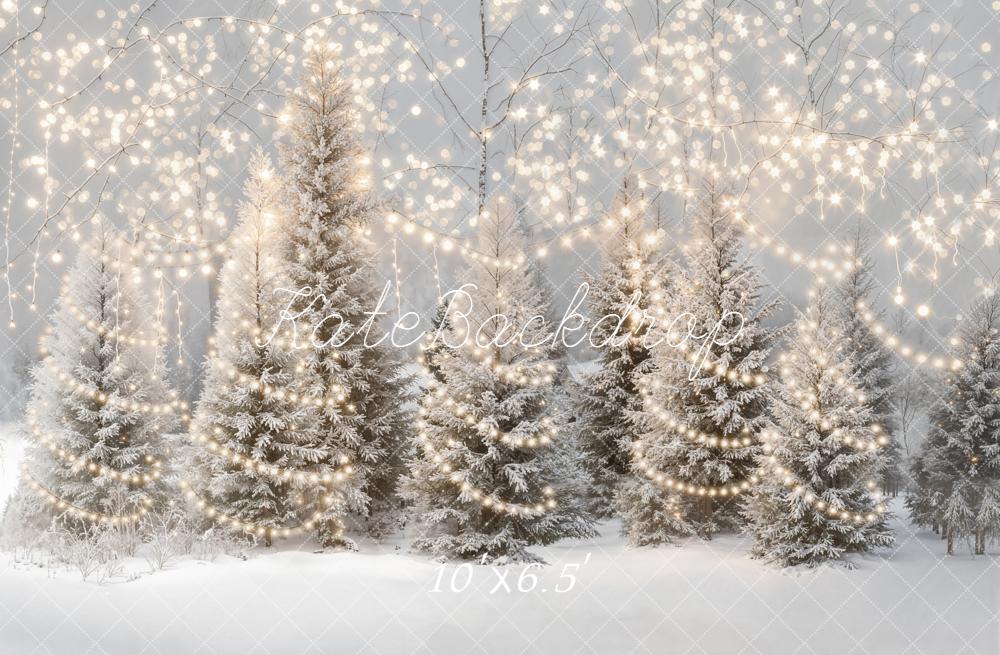 Kate Winter Snow Frosted Trees String Lights Backdrop Designed by Emetselch - Image 4