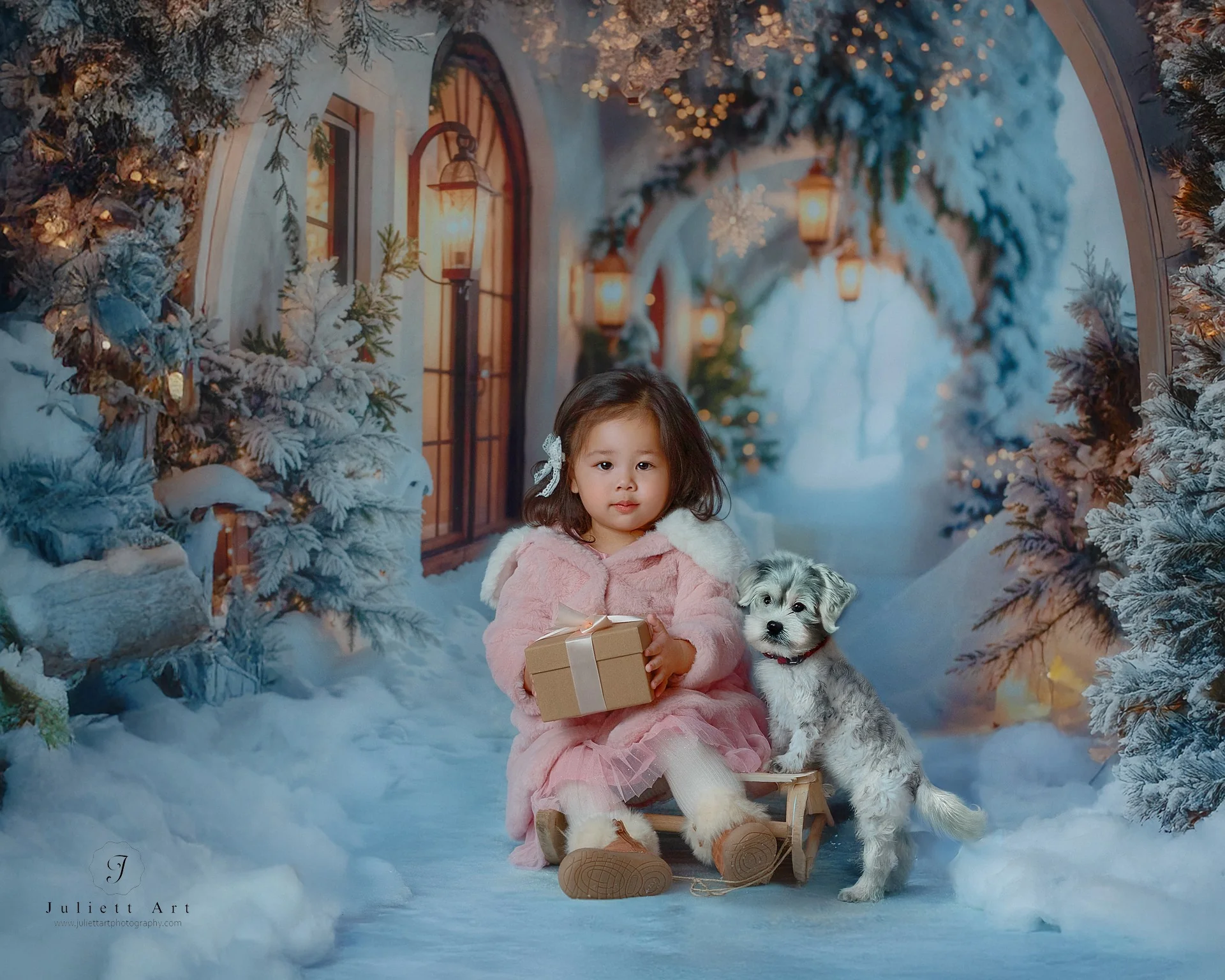Kate Winter Snowy Christmas Arch Hallway Backdrop Designed by Emetselch - Image 10