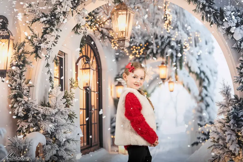 Kate Winter Snowy Christmas Arch Hallway Backdrop Designed by Emetselch - Image 9