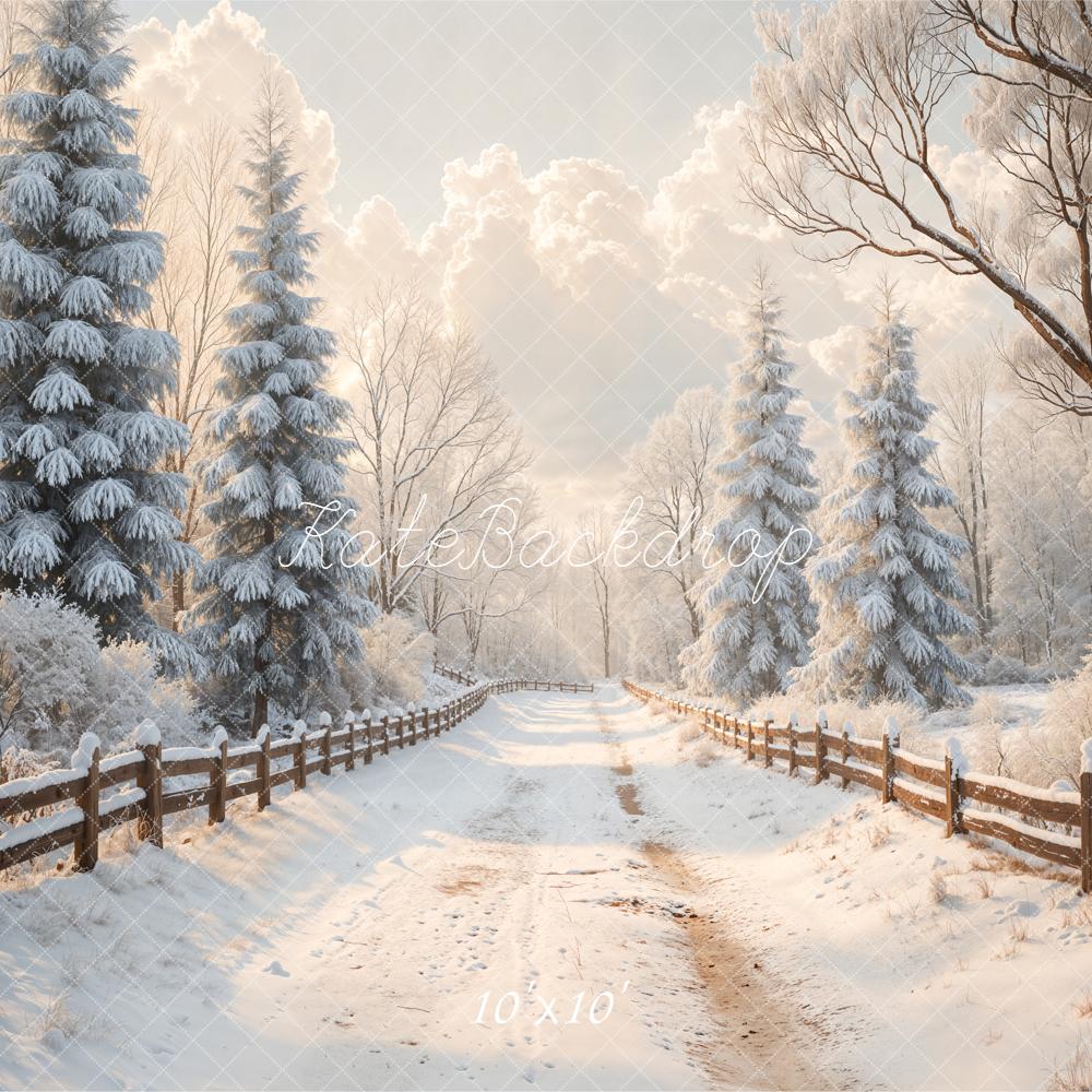 Kate Winter Snowy Path Fence Backdrop Designed by Emetselch - Image 7
