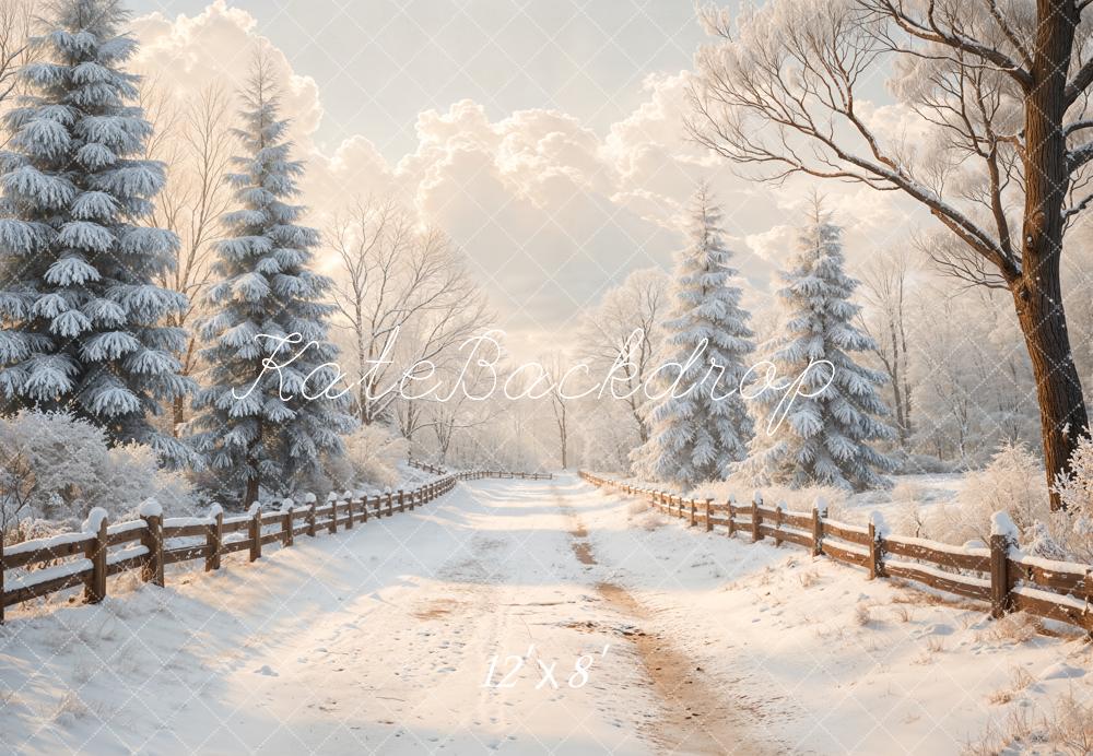 Kate Winter Snowy Path Fence Fleece Backdrop Designed by Emetselch - Image 4