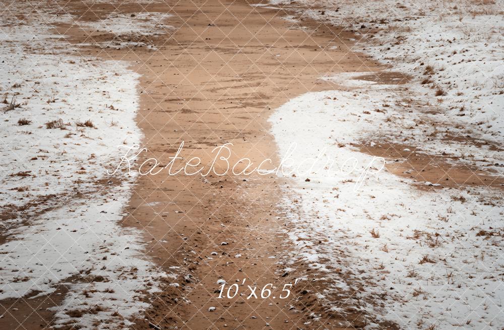 Kate Winter Snowy Path Floor Backdrop Designed by Emetselch - Image 4