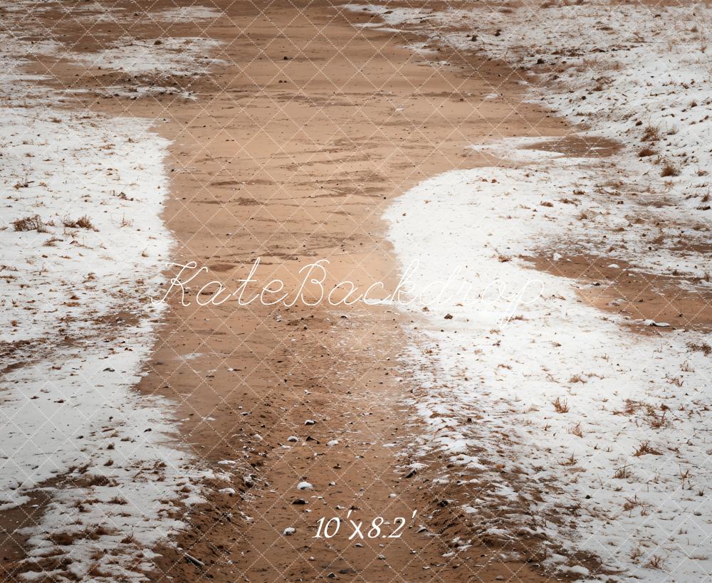 Kate Winter Snowy Path Floor Backdrop Designed by Emetselch - Image 5