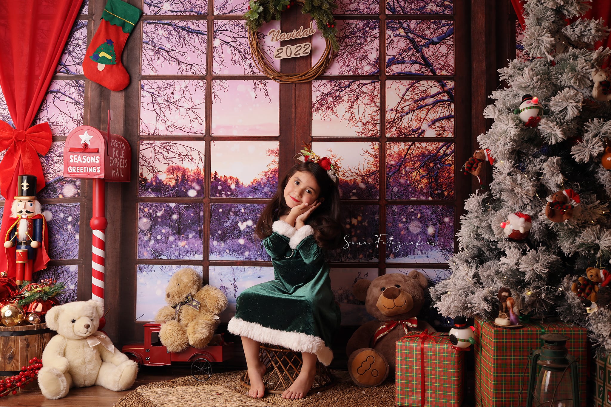 Kate Winter Snowy Window Backdrop Designed by Chain Photography