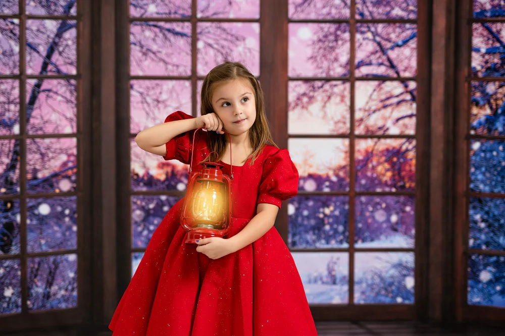 Kate Winter Snowy Window Backdrop Designed by Chain Photography - Image 3