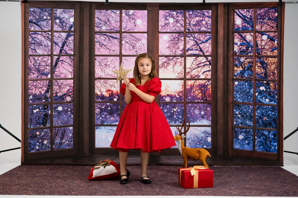 Kate Winter Snowy Window Backdrop Designed by Chain Photography - Image 4