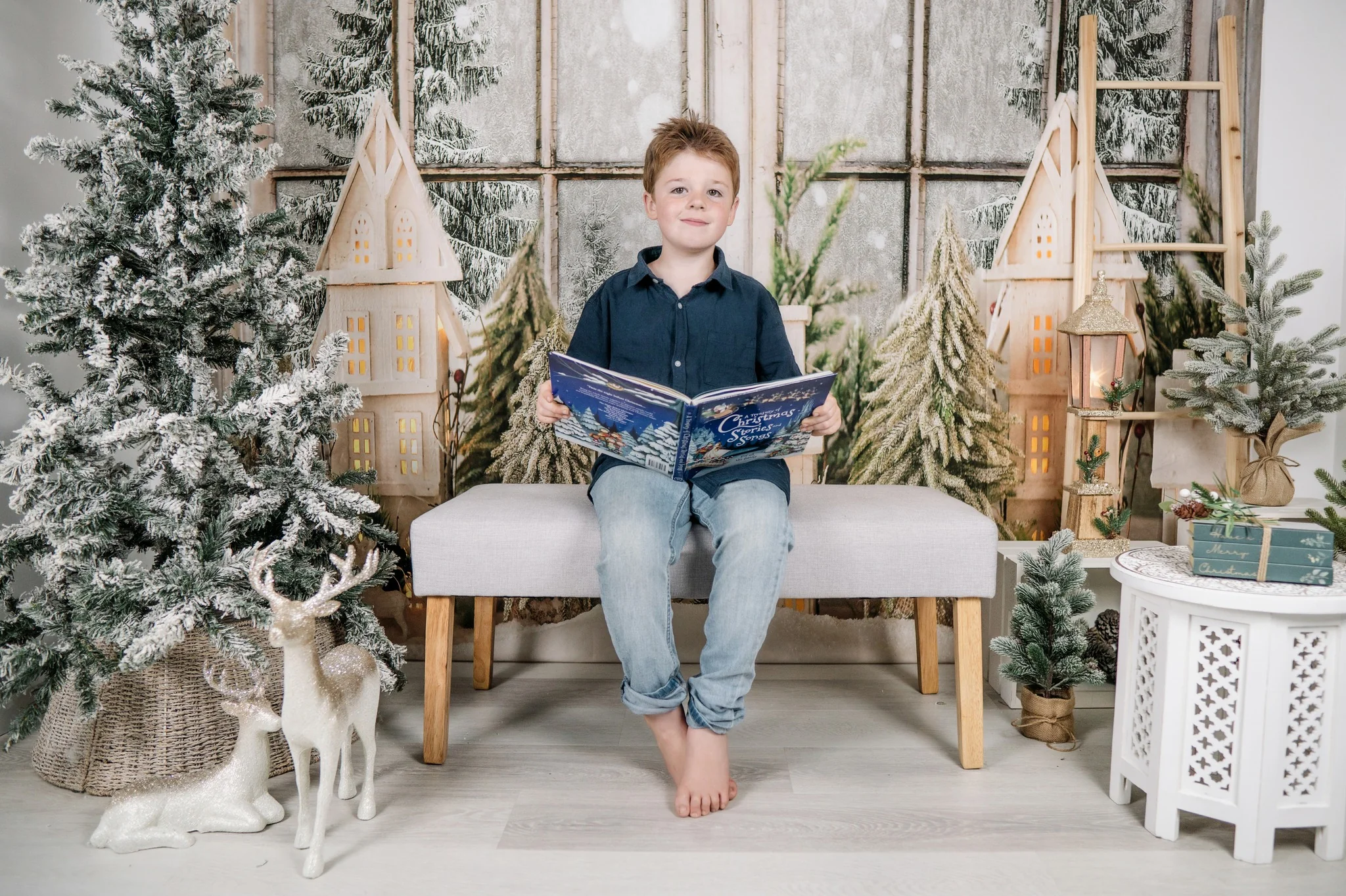 Kate Winter Window Christmas Backdrop for Photography