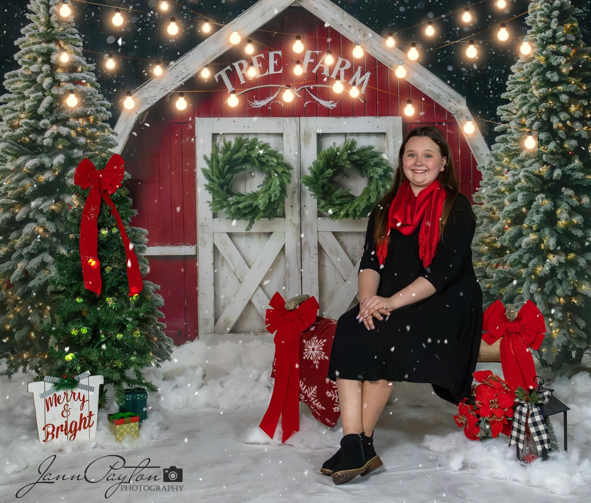 Kate Winter Christmas Tree Farm Red Barn Backdrop Designed by Chain Photography - Image 7