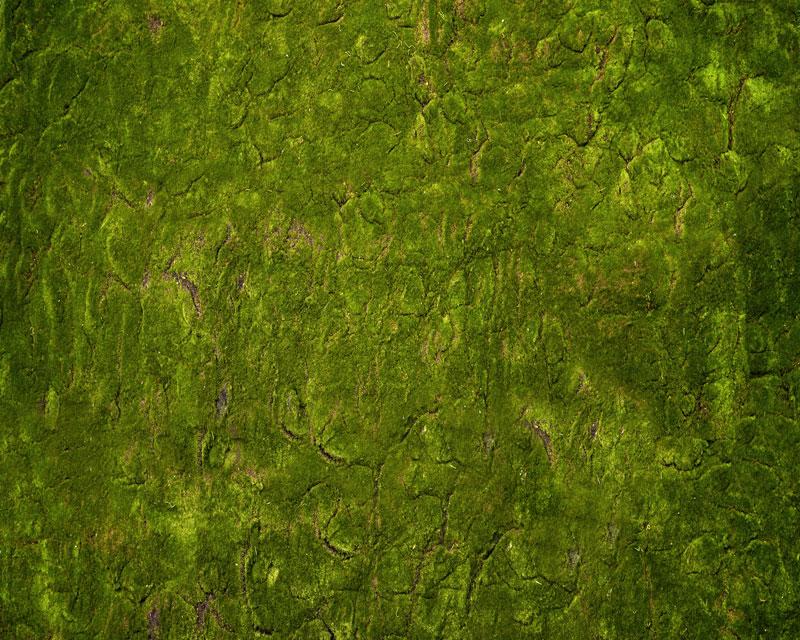 Kate Wonderland Grass Green Rubber Floor Mat Designed by Arica Kirby - Image 3