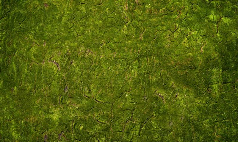 Kate Wonderland Grass Green Rubber Floor Mat Designed by Arica Kirby - Image 4