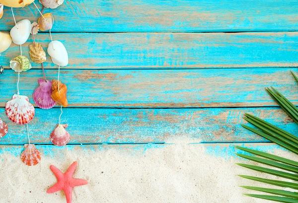 Kate Wood Summer Shell Backdrop - Image 2