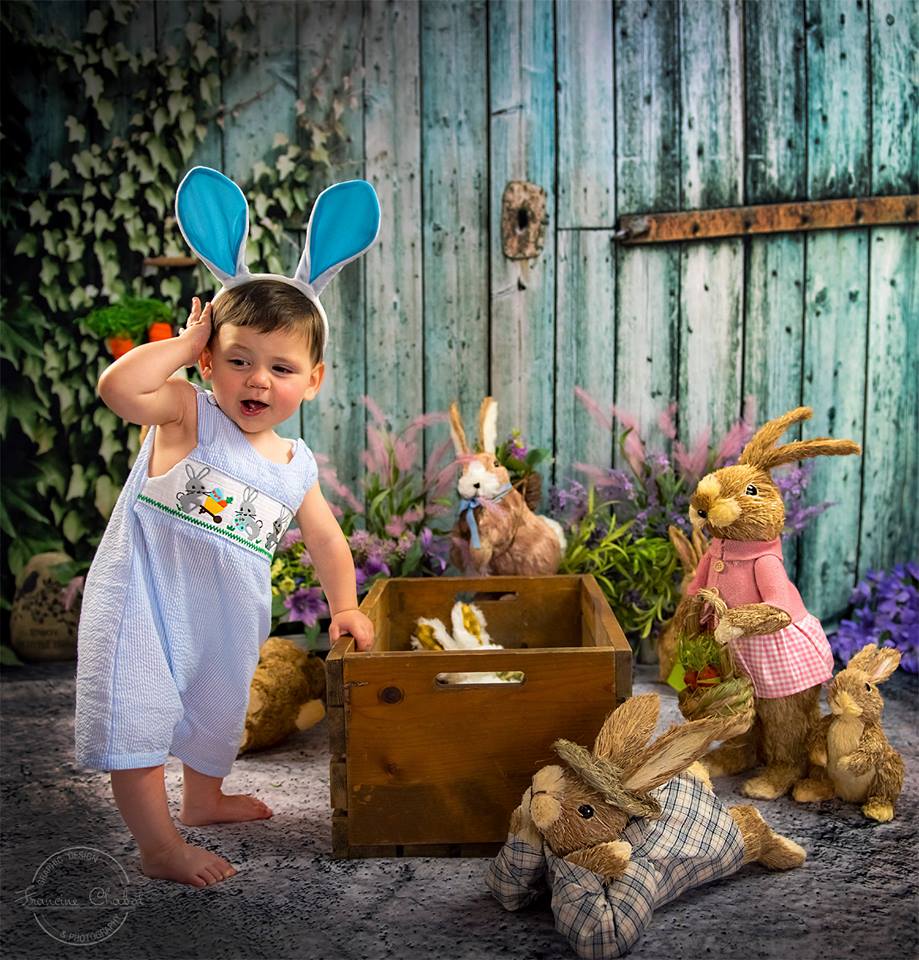 Kate Wooden Wall Barn Backdrop For Outdoor Photography - Image 3