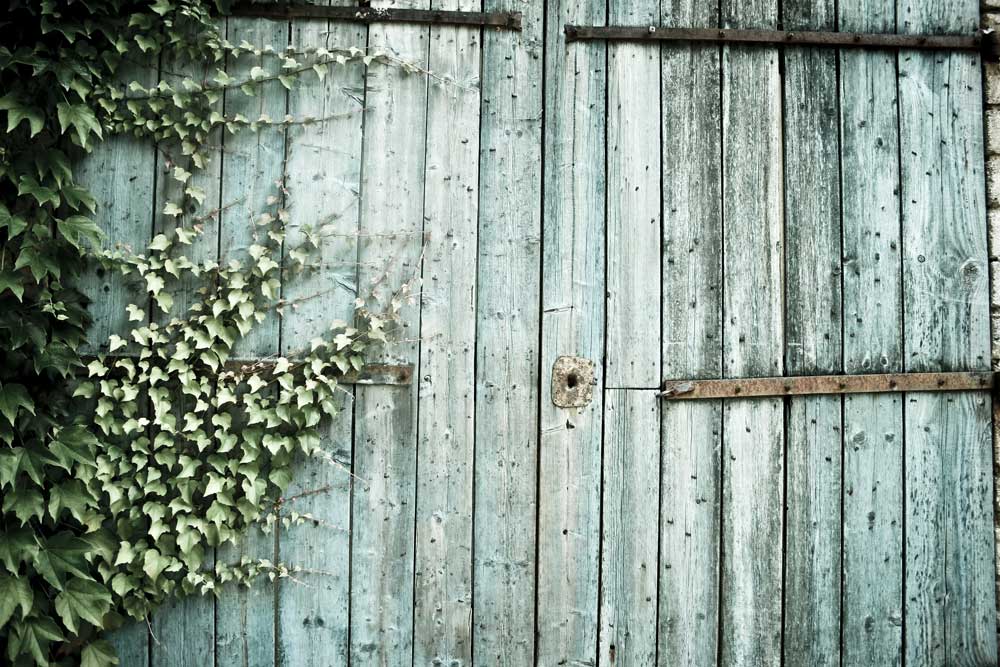Kate Wooden Wall Barn Backdrop For Outdoor Photography - Image 5