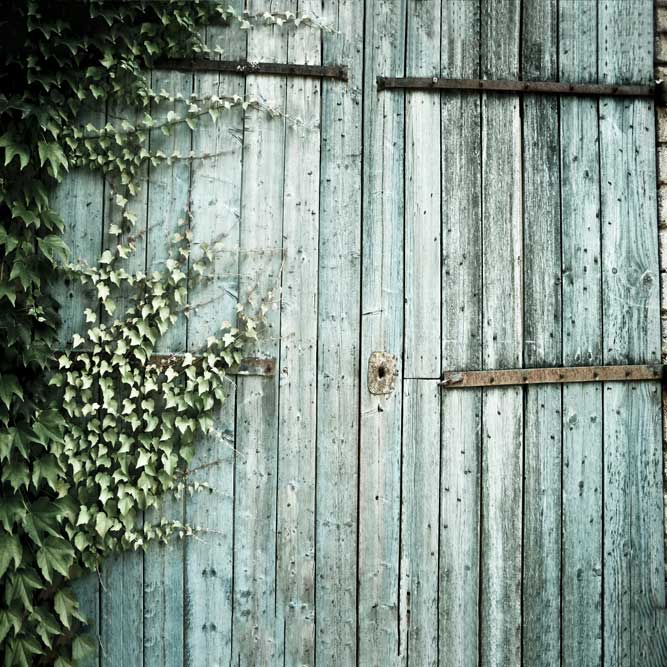 Kate Wooden Wall Barn Backdrop For Outdoor Photography - Image 6