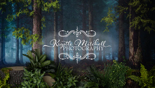 Kate Woodland Creatures Forest Backdrop Designed By Krystle Mitchell Photography - Image 3