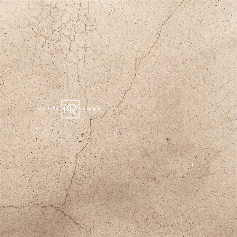 Kate Worn Cracked Terrazzo Backdrop Designed by Mandy Ringe Photography - Image 2