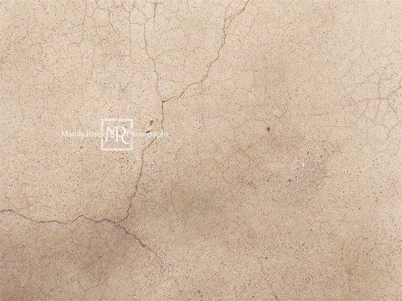 Kate Worn Cracked Terrazzo Backdrop Designed by Mandy Ringe Photography - Image 3