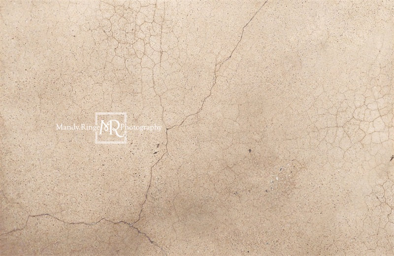 Kate Worn Cracked Terrazzo Backdrop Designed by Mandy Ringe Photography - Image 4