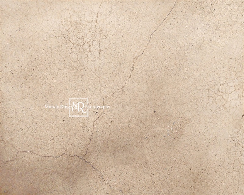 Kate Worn Cracked Terrazzo Backdrop Designed by Mandy Ringe Photography - Image 5