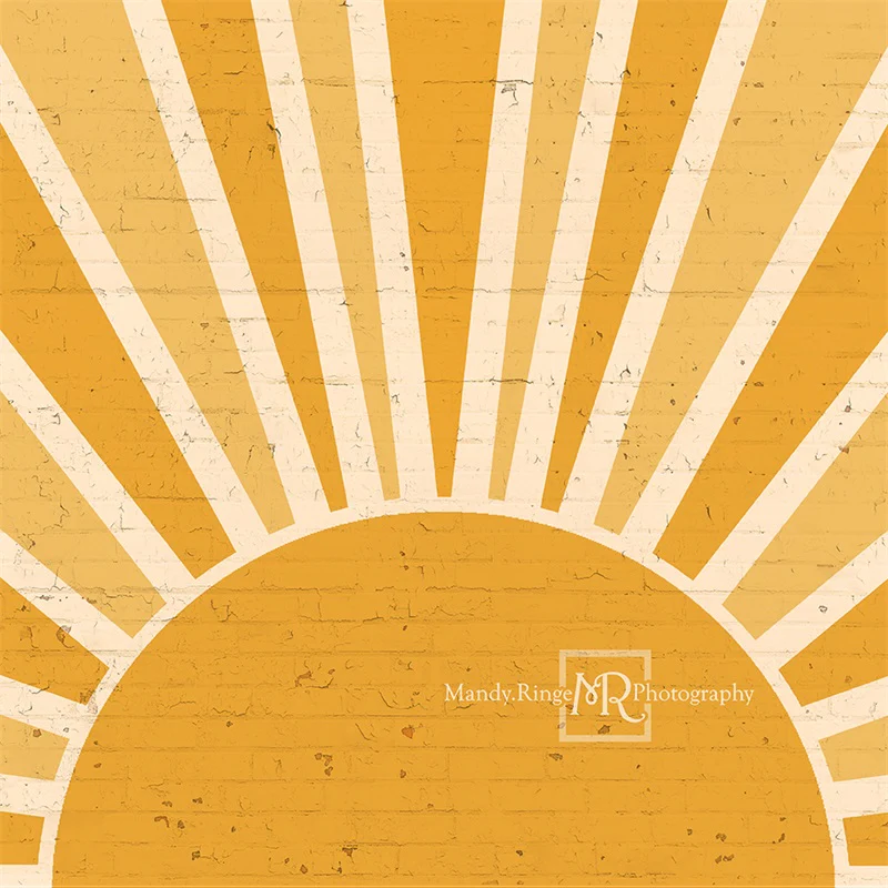 Kate You are my Sunshine Brick Wall Backdrop Designed by Mandy Ringe Photography - Image 2