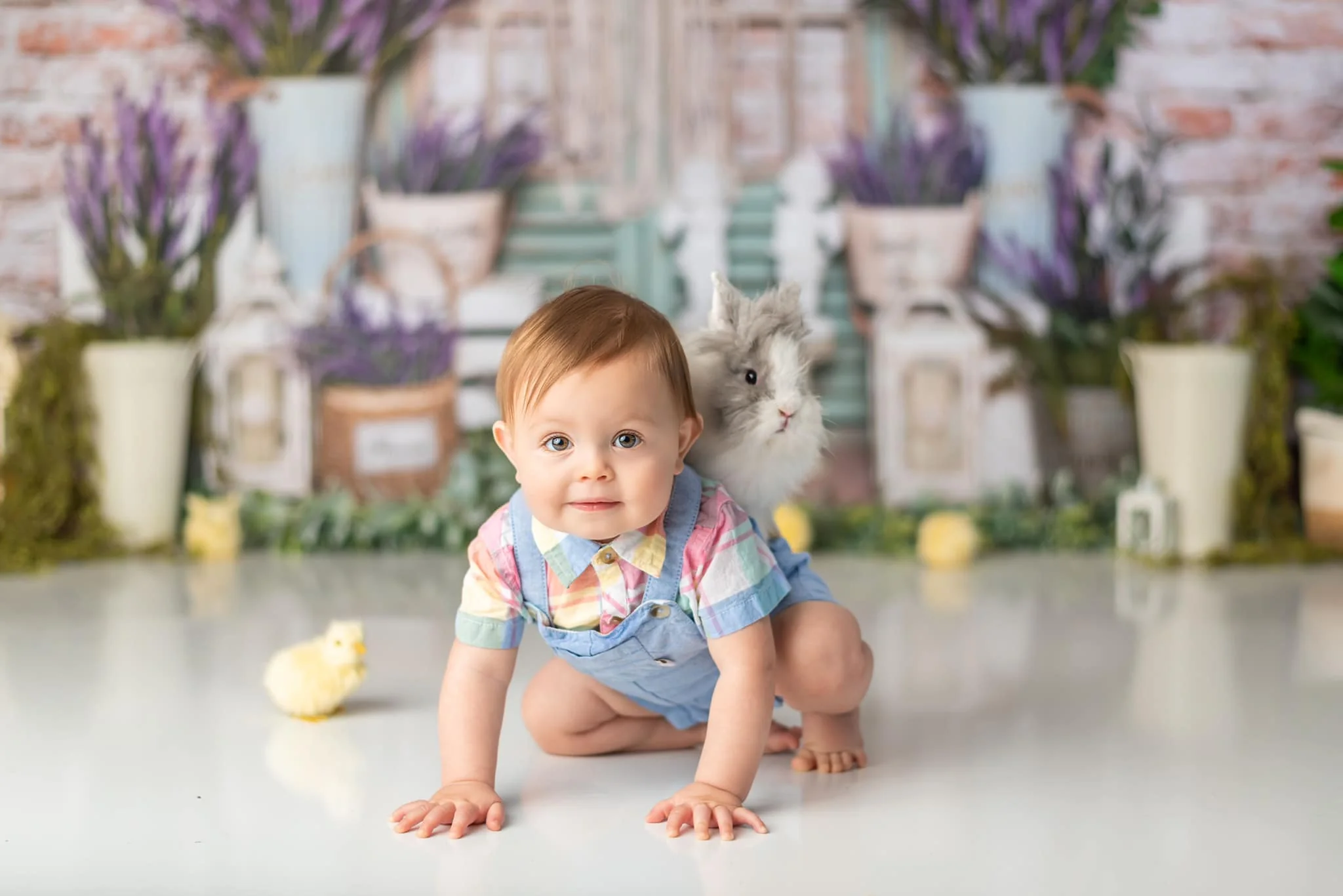 Kate Summer Lavender Boho Brick Backdrop Designed by Emetselch - Image 7