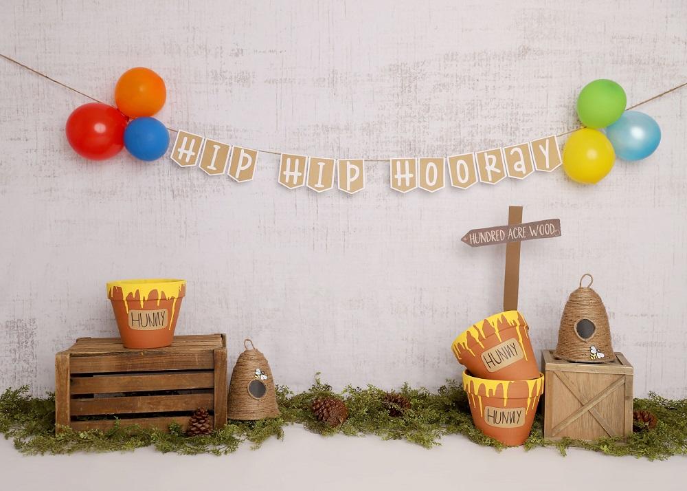 Kate Pooh Cake Smash Bee Birthday Backdrop Designed by Melissa King - Image 3