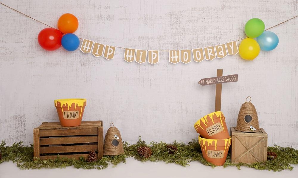 Kate Pooh Cake Smash Bee Birthday Backdrop Designed by Melissa King - Image 4