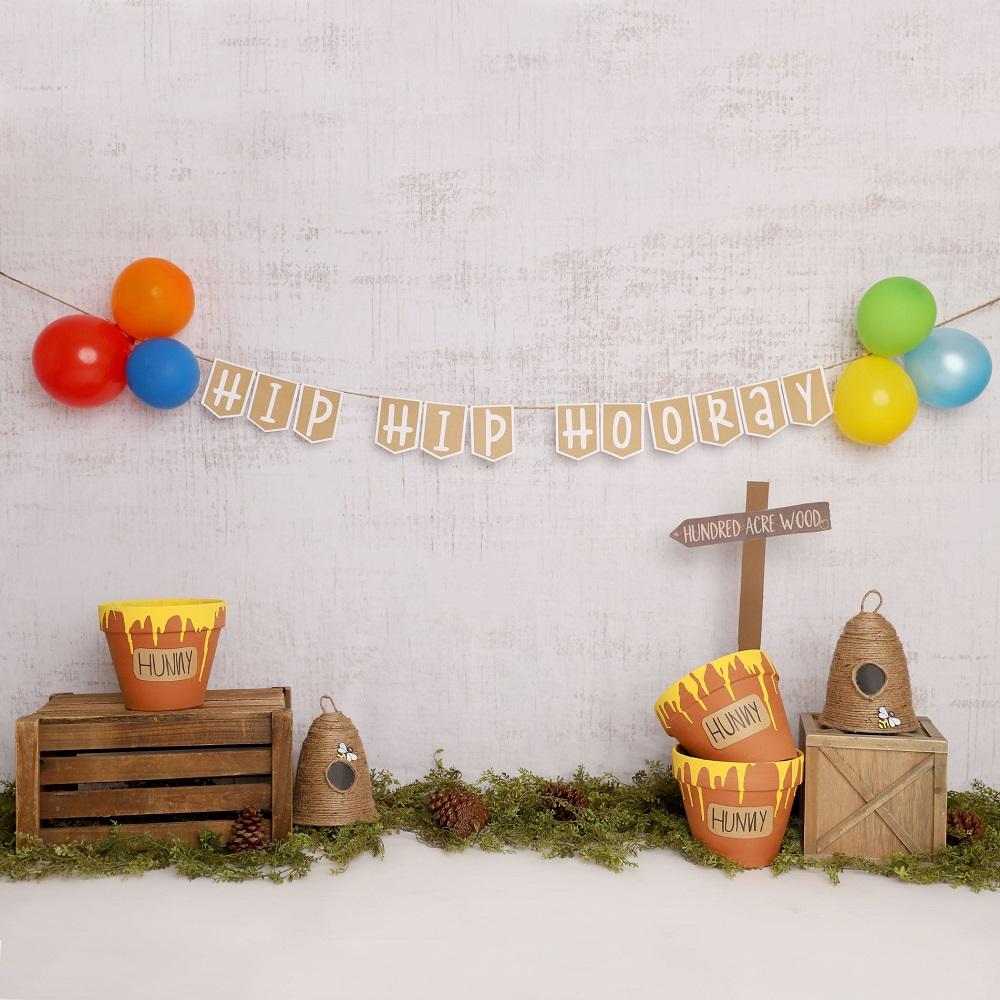 Kate Pooh Cake Smash Bee Birthday Backdrop Designed by Melissa King - Image 5