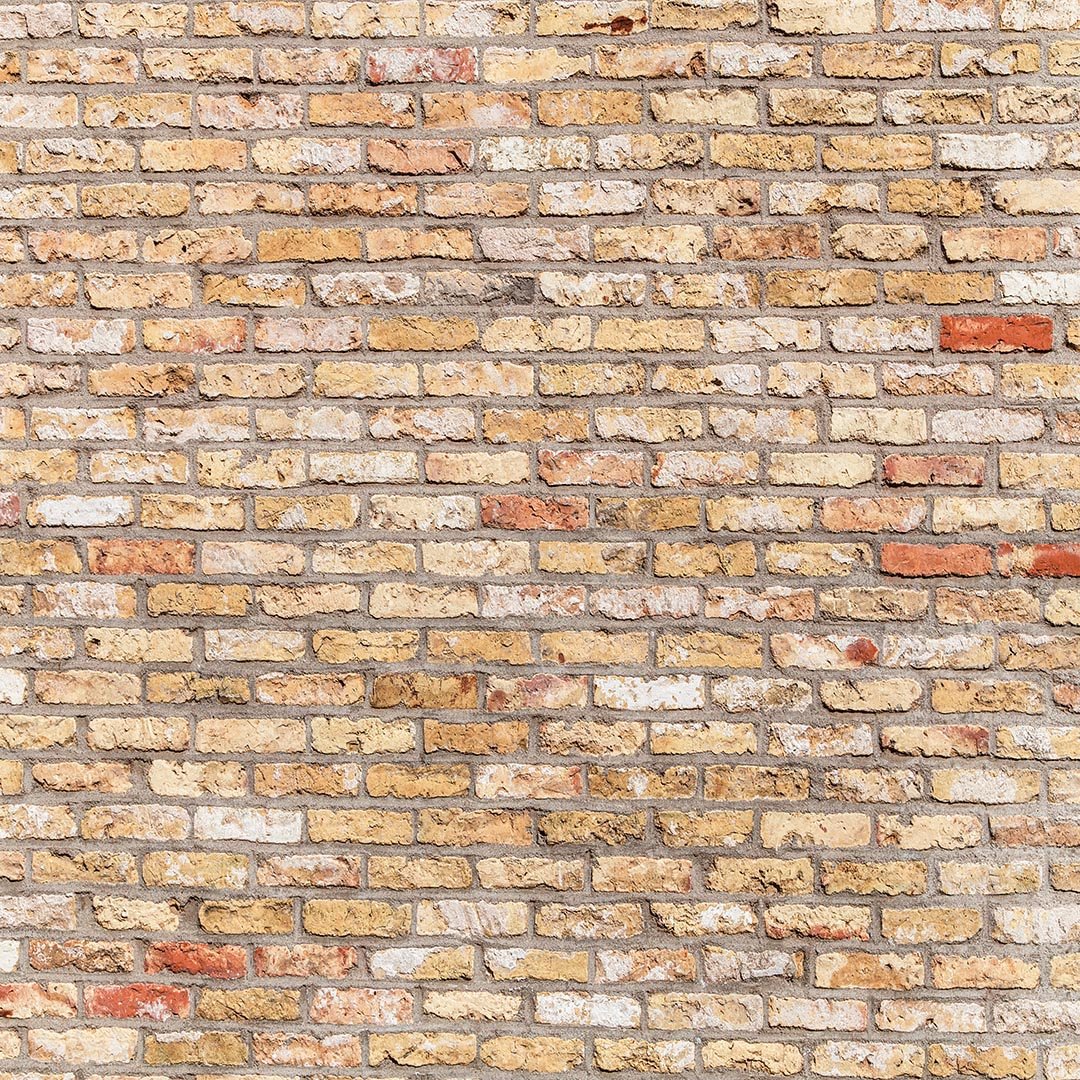Kate Primary Color Brick Wall Backdrop for photography - Image 5
