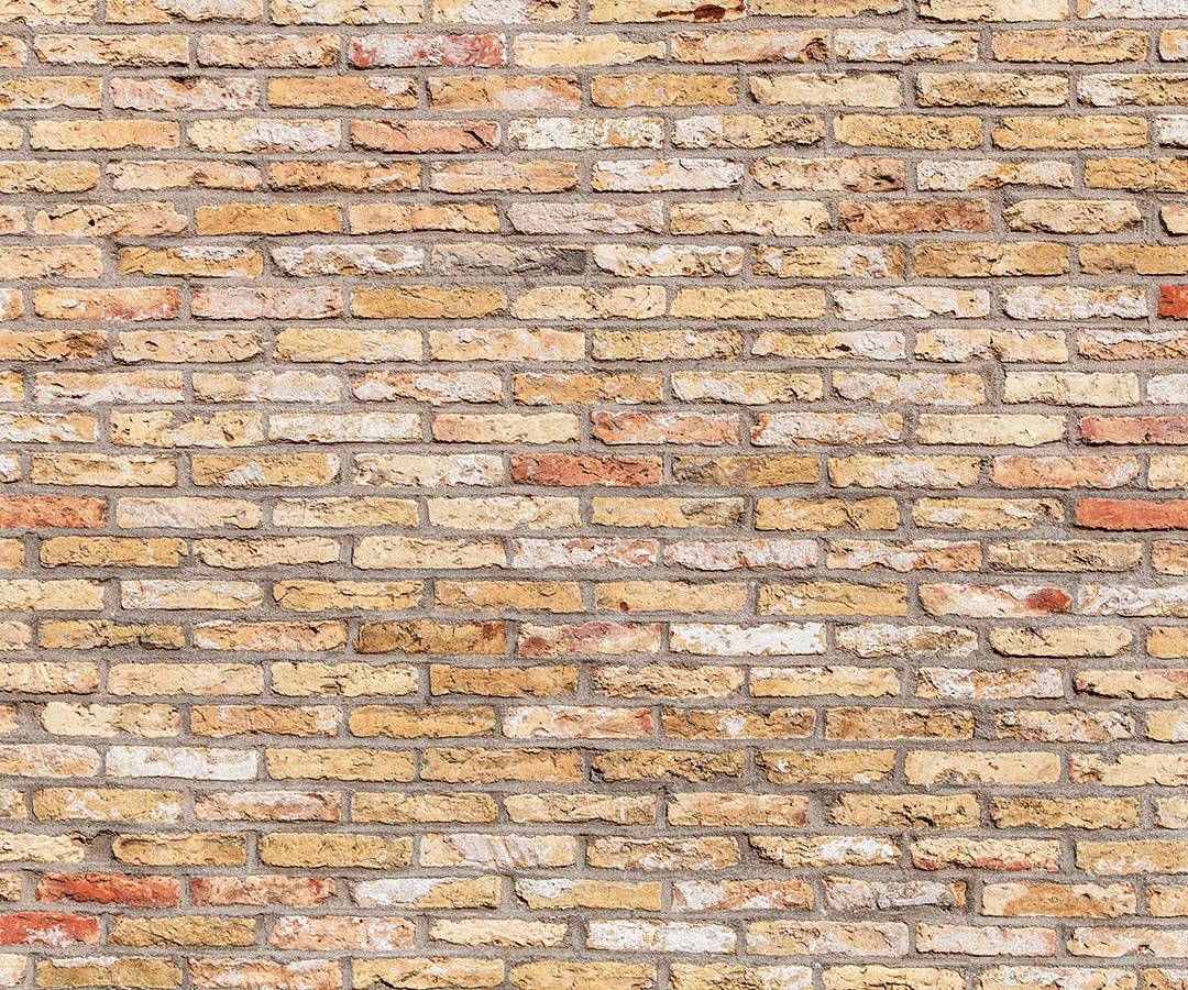 Kate Primary Color Brick Wall Backdrop for photography - Image 6