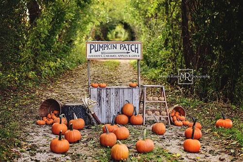 Kate Autumn/Thanksgiving Backdrop Pumpkin Stand Designed by Mandy Ringe Photography - Image 2