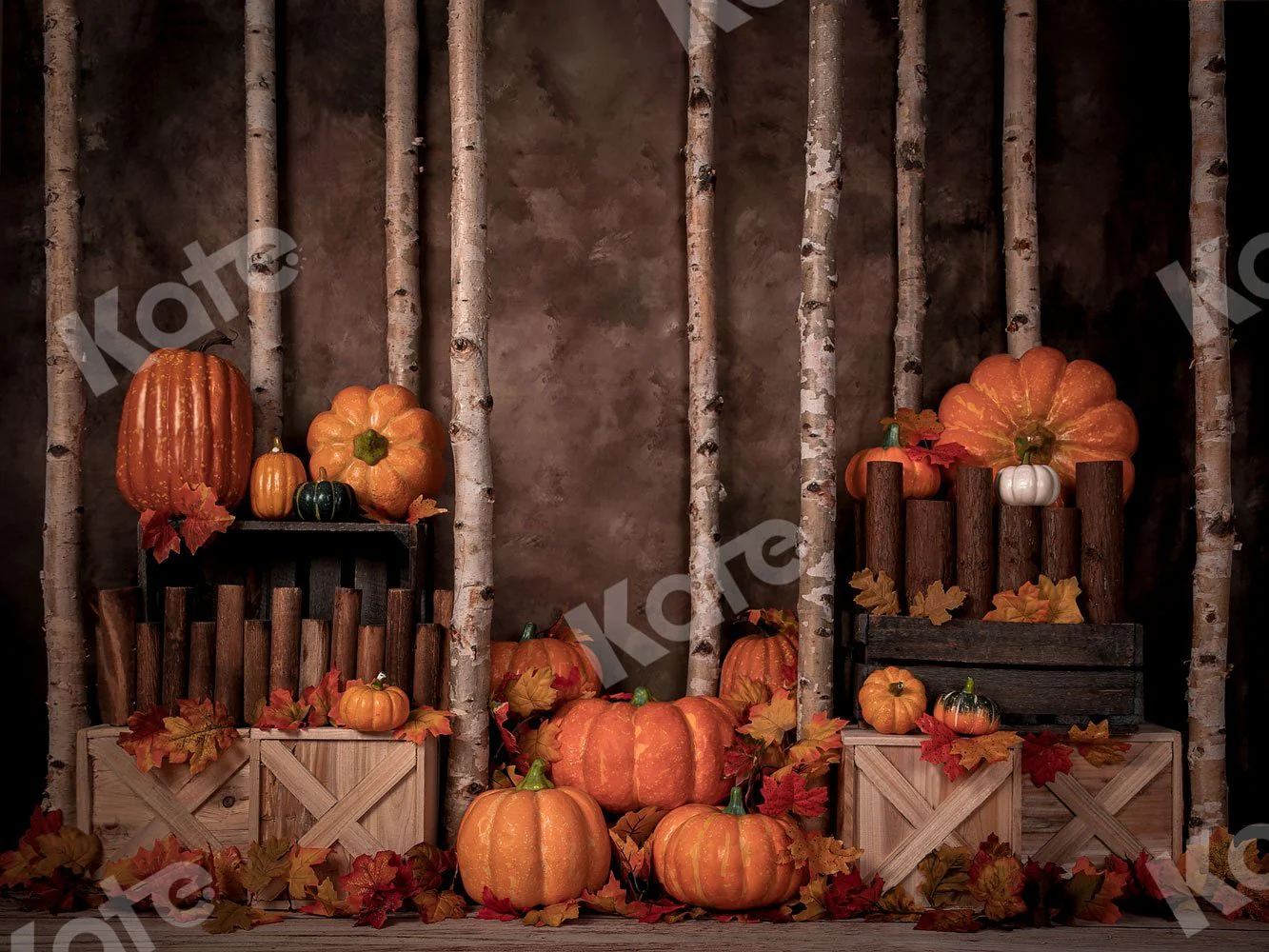 Kate Autumn Pumpkins Backdrop Designed by Jia Chan Photography - Image 2