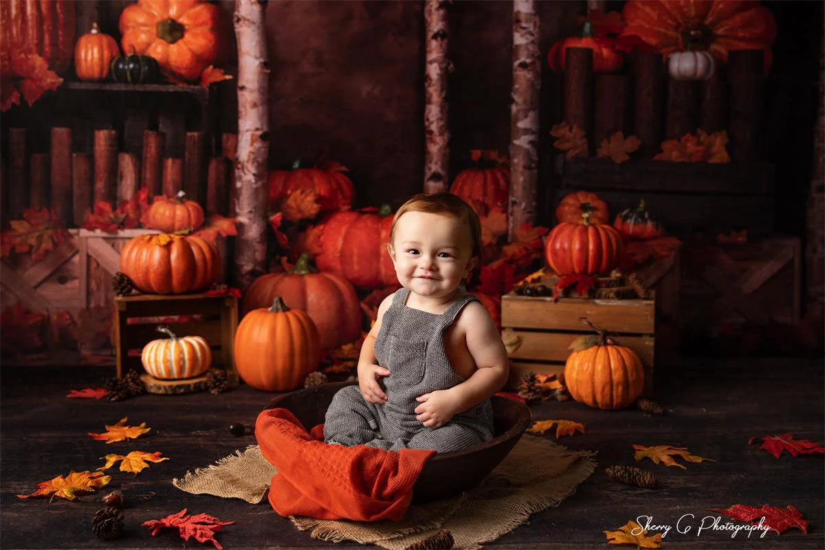 Kate Autumn Pumpkins Backdrop Designed by Jia Chan Photography - Image 4