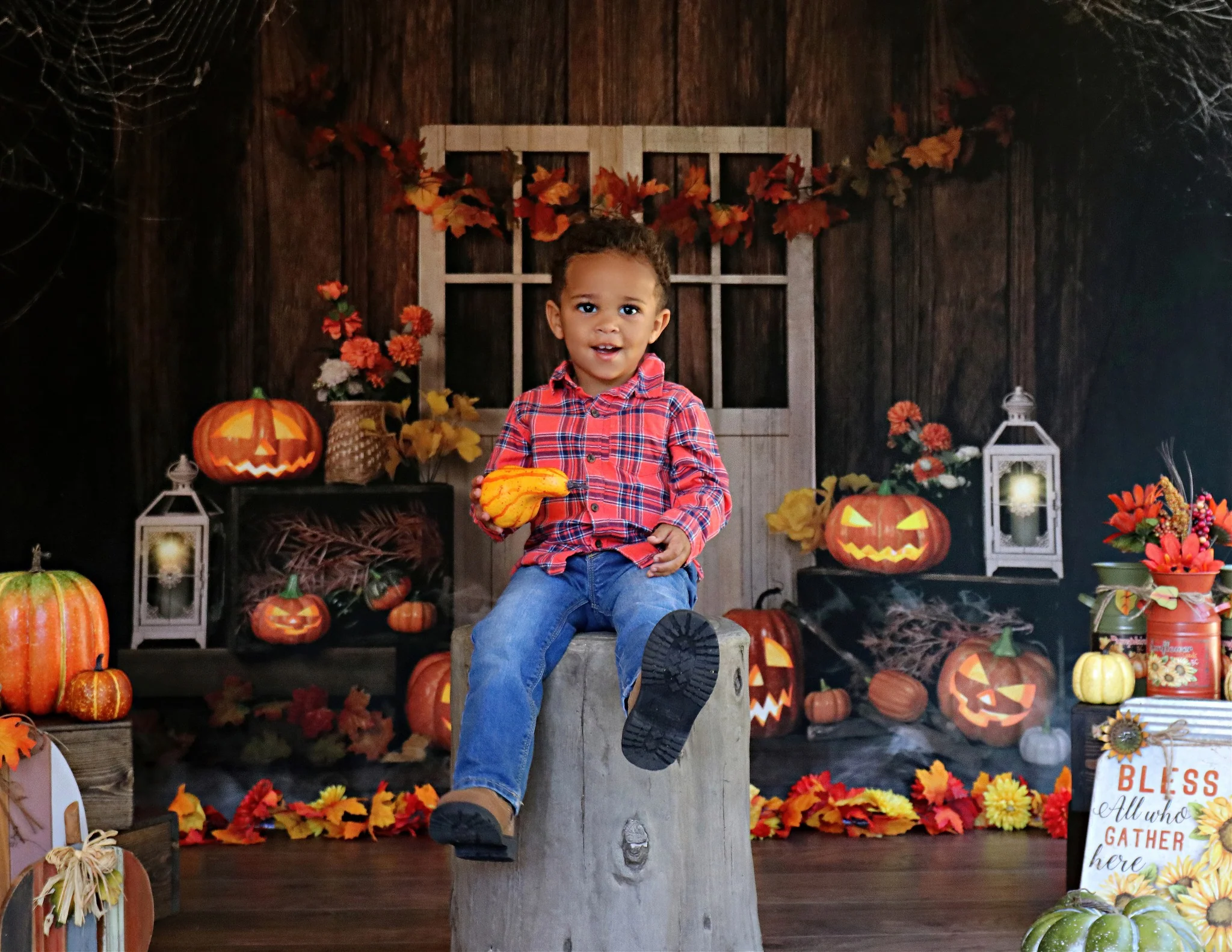 Kate Autumn/Thanksgiving Pumpkins Lights Backdrop Designed by Jia Chan Photography - Image 5