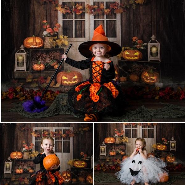 Kate Autumn/Thanksgiving Pumpkins Lights Backdrop Designed by Jia Chan Photography - Image 6