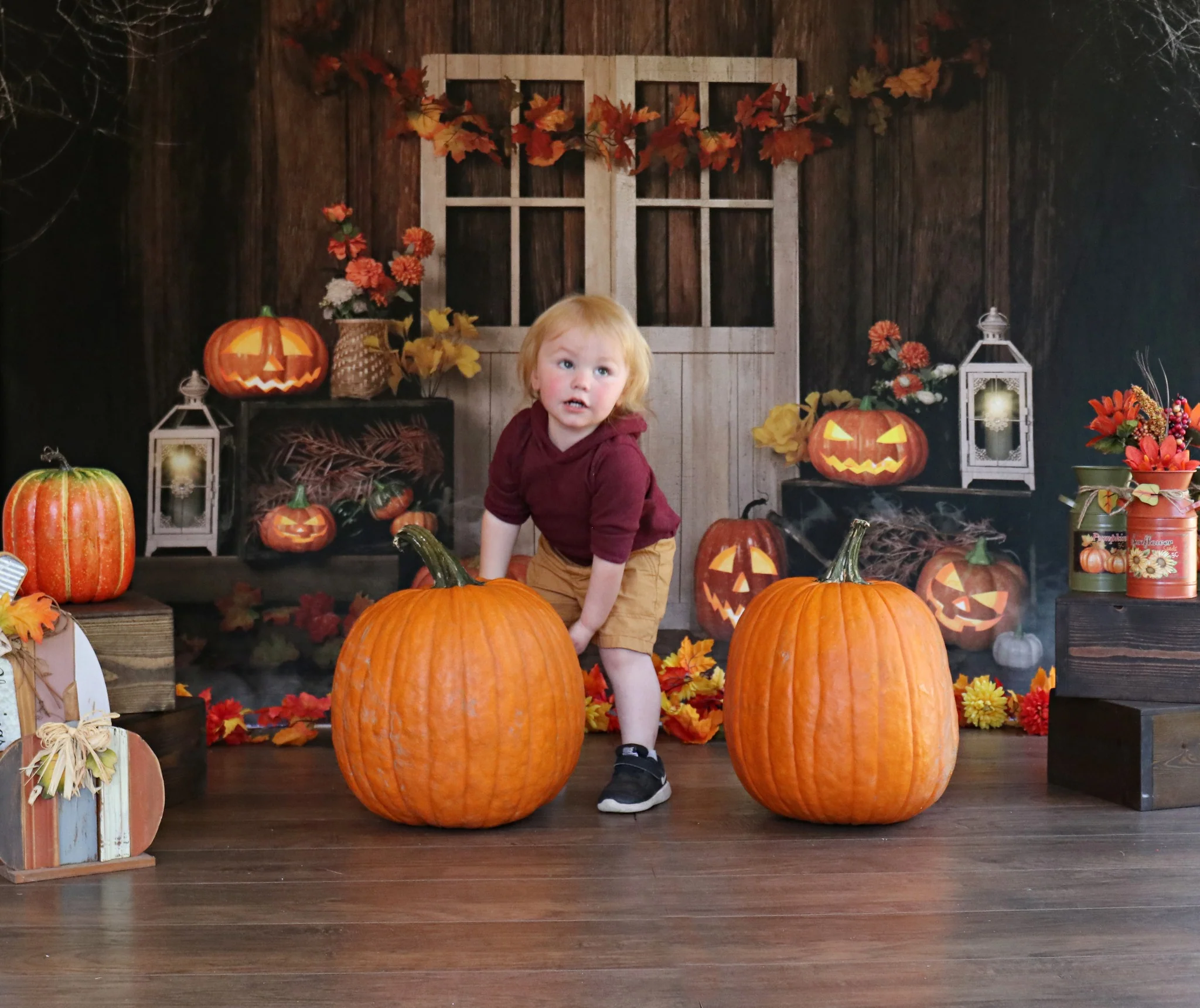 Kate Autumn/Thanksgiving Pumpkins Lights Backdrop Designed by Jia Chan Photography - Image 8