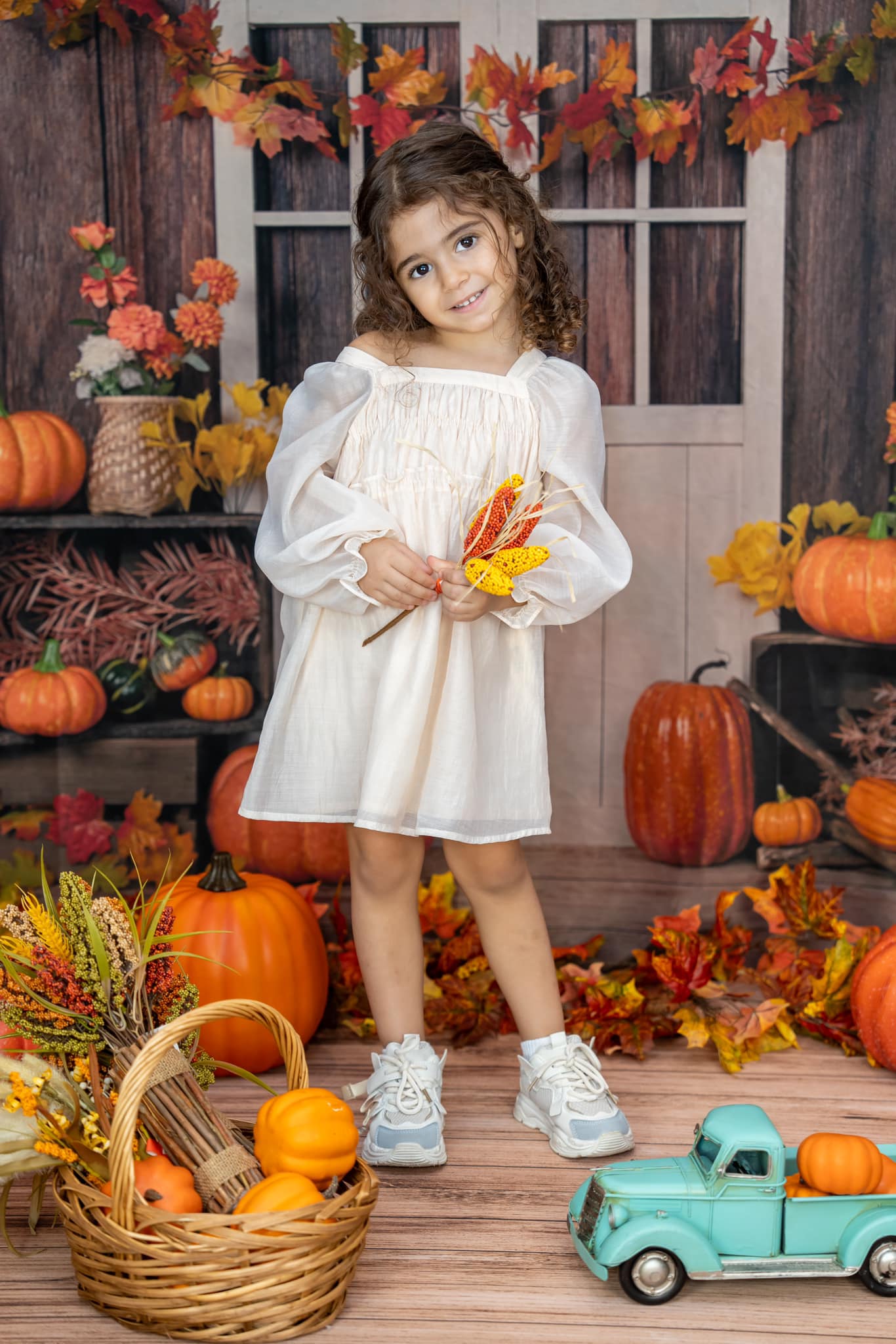 Kate Autumn/Thanksgiving Pumpkins Backdrop Designed by Jia Chan Photography - Image 4