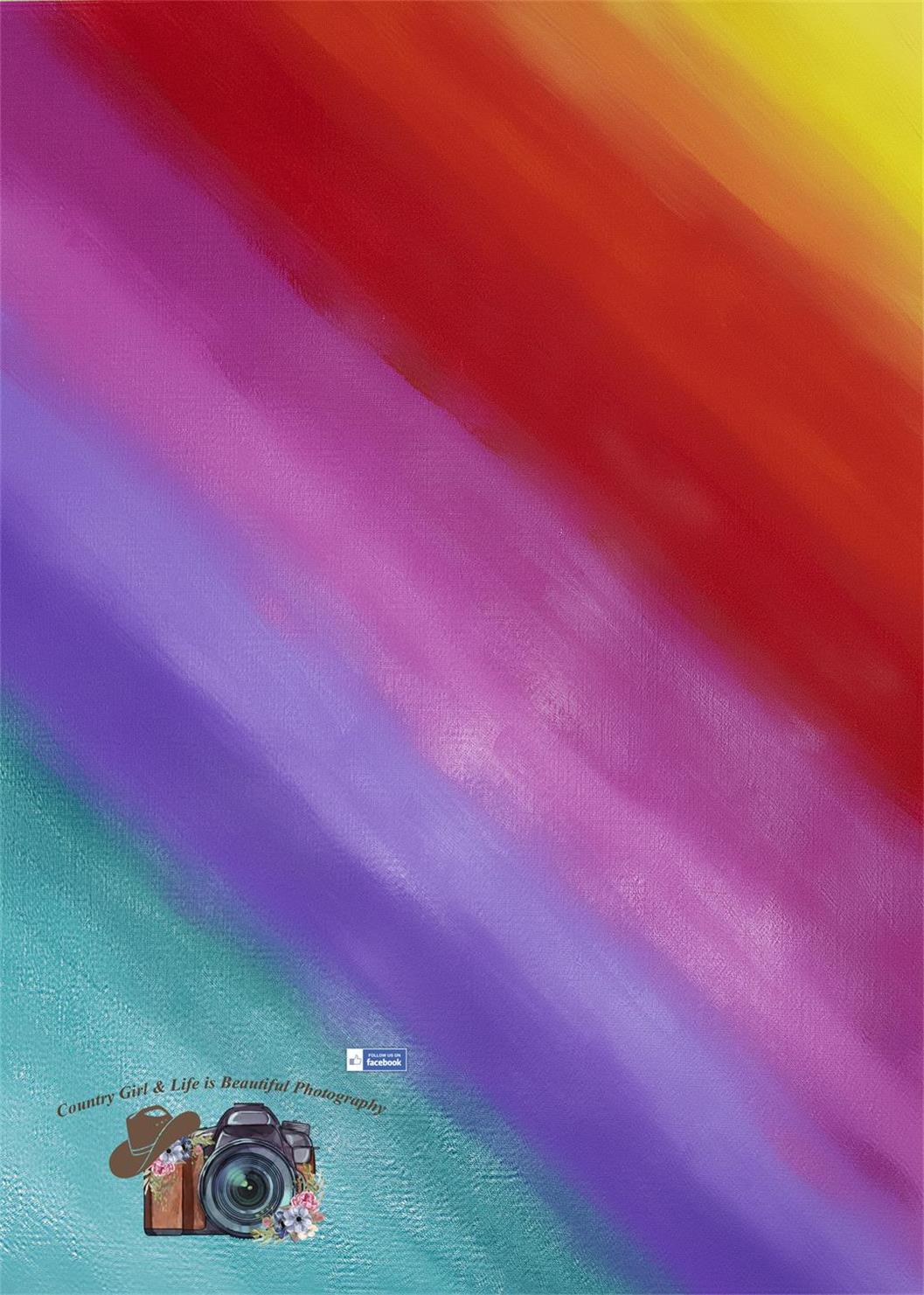Kate Rainbow Fade Children Backdrop Designed by Leann West