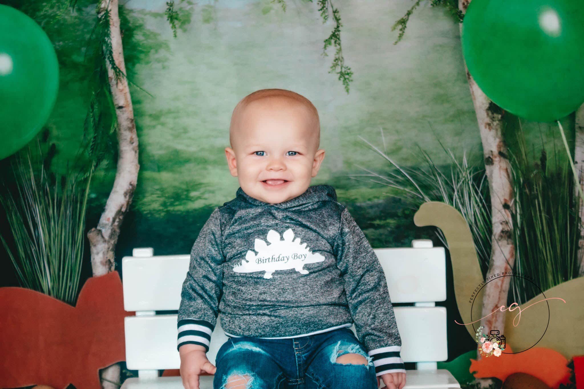 Kate Rainforest Wonderland with Dinosaur Balloons Backdrop