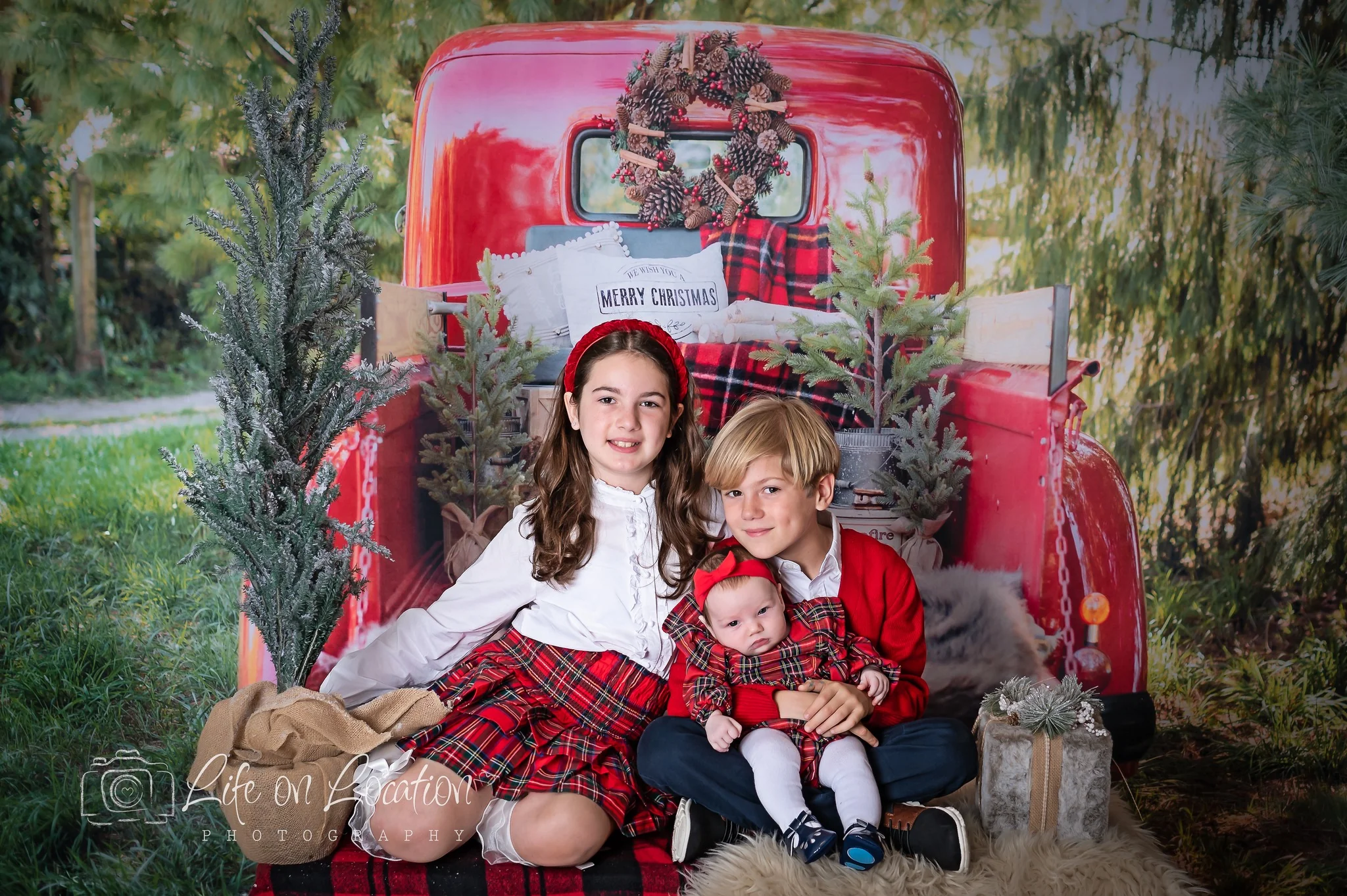 Kate Red Christmas Truck Backdrop Designed by Mandy Ringe Photography - Image 13