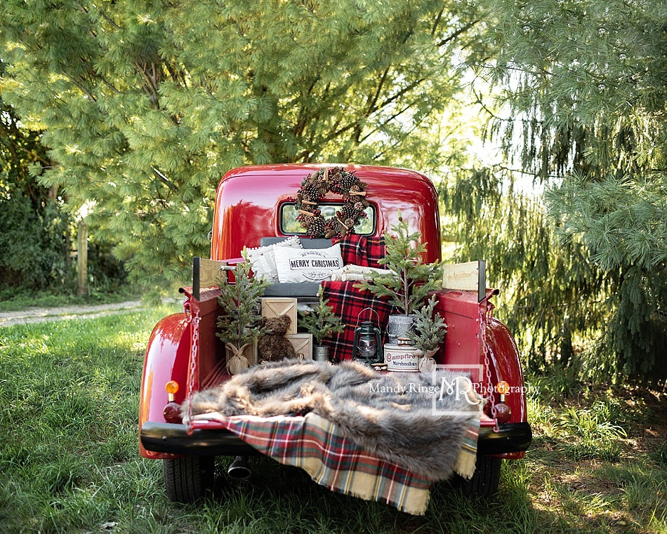 Kate Red Christmas Truck Backdrop Designed by Mandy Ringe Photography - Image 14