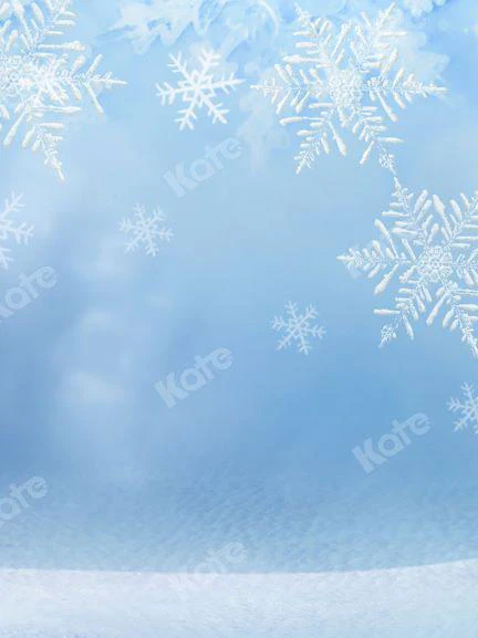 Kate Winter/christmas Snowflake Frozen Backdrop Designed by Chain Photography