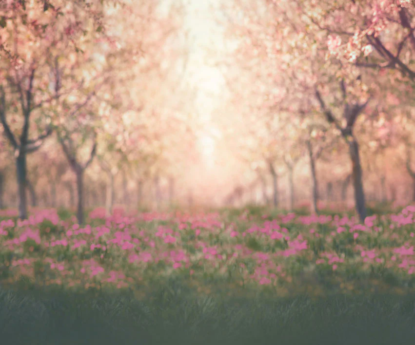 Kate Spring Cherry Blossoms Orchard Backdrop for Photography Designed by Lisa Granden - Image 6