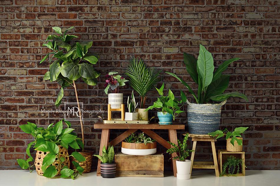 Kate Summer Plant Lover Backdrop Designed by Mandy Ringe Photography - Image 2