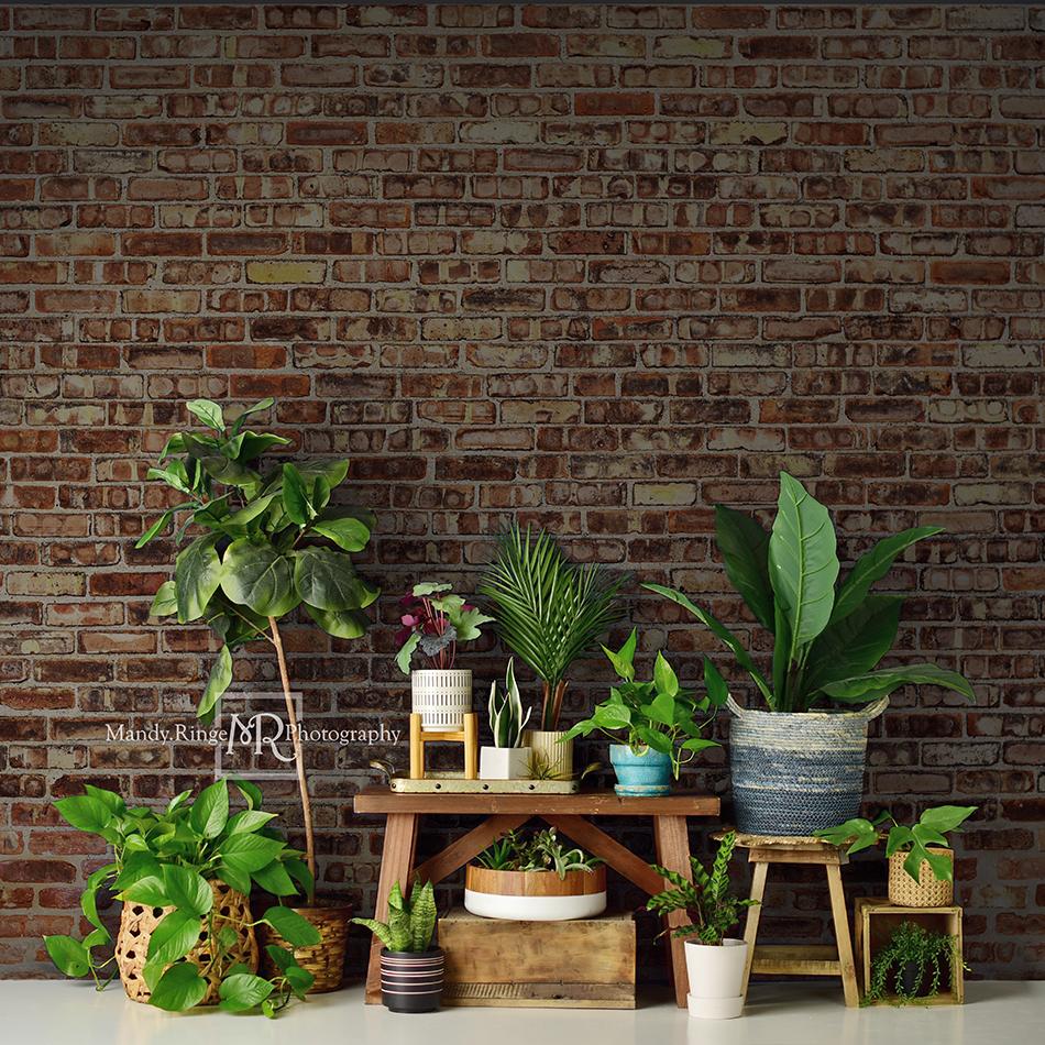 Kate Summer Plant Lover Backdrop Designed by Mandy Ringe Photography - Image 3