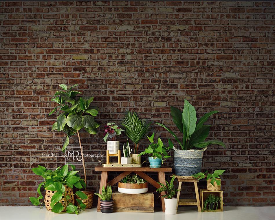 Kate Summer Plant Lover Backdrop Designed by Mandy Ringe Photography - Image 5