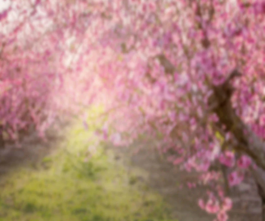 Kate Spring Pink Flowers Backdrop for Photography Designed by Lisa Granden - Image 6