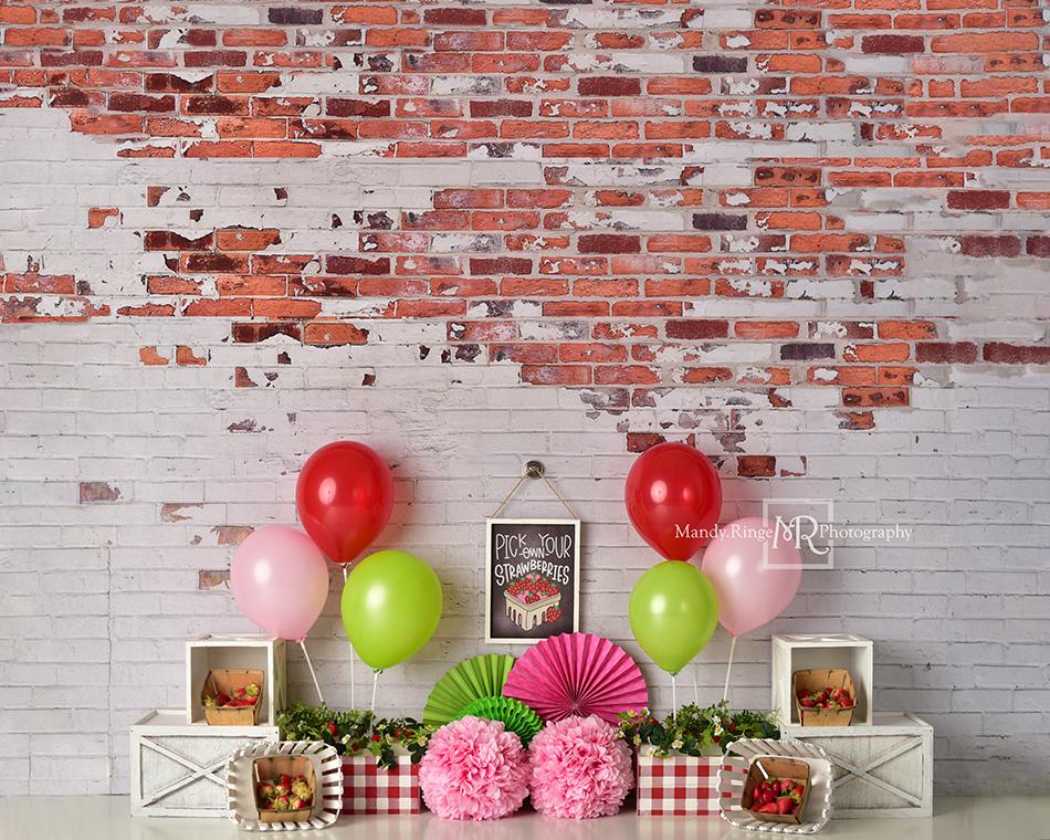 Kate Summer Strawberry Birthday Backdrop Designed by Mandy Ringe Photography - Image 5