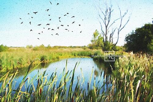 Kate Summer Pond Backdrop Designed by Mandy Ringe Photography